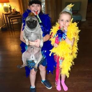 Meet your Posher, Meredith